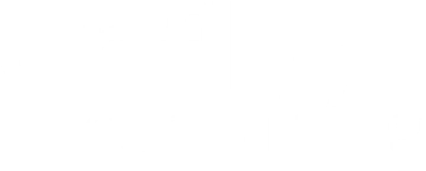 onfluid consulting